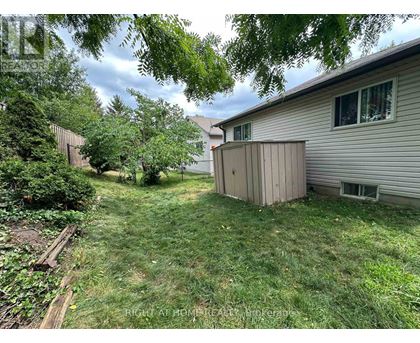 A backyard with a shed and a house.