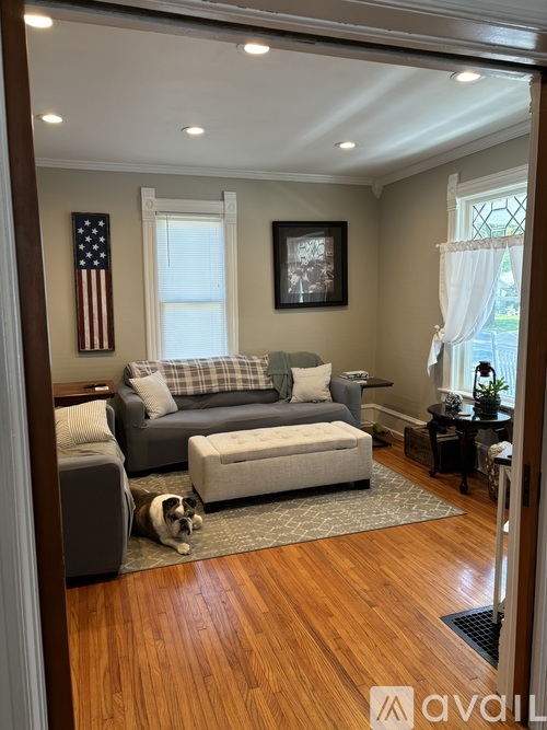 A living room with a grey couch and a dog.