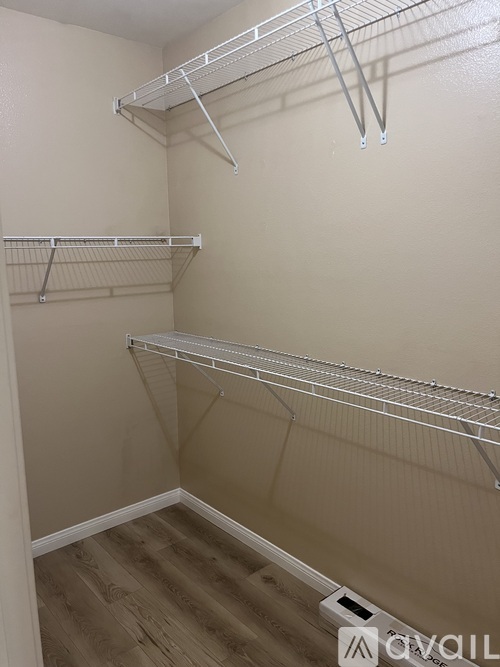 Empty walk-in closet with shelves and a wooden floor.
