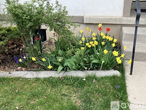 A garden with yellow flowers in the foreground and a building in the background.