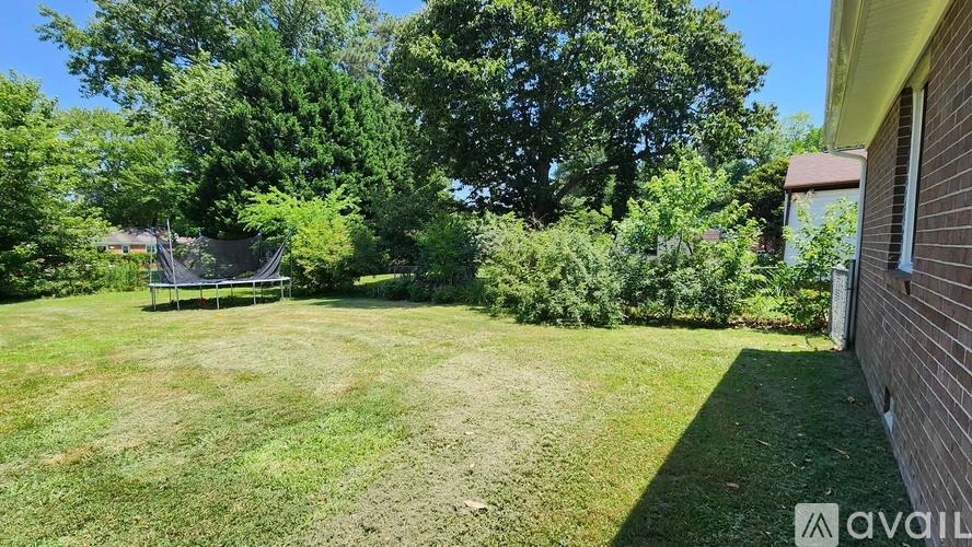 A backyard with a bench and trees.
