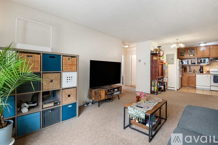 A living room with a television, a coffee table, and a potted plant.