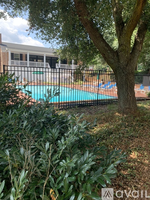 A tree stands next to a pool in a yard.