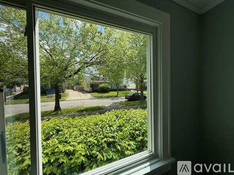 A window with a view of a street and greenery outside.