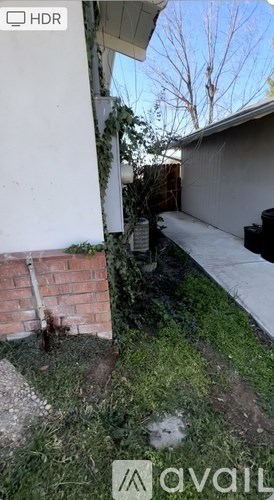 A backyard with a white wall, a brick wall, and a tree.