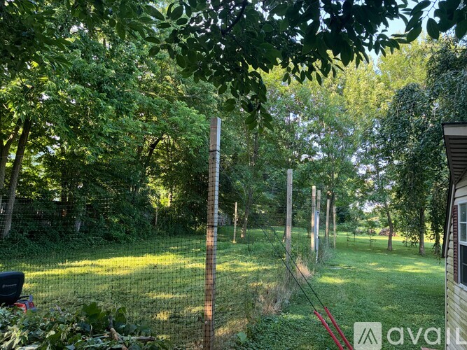 A backyard with a fence and trees.