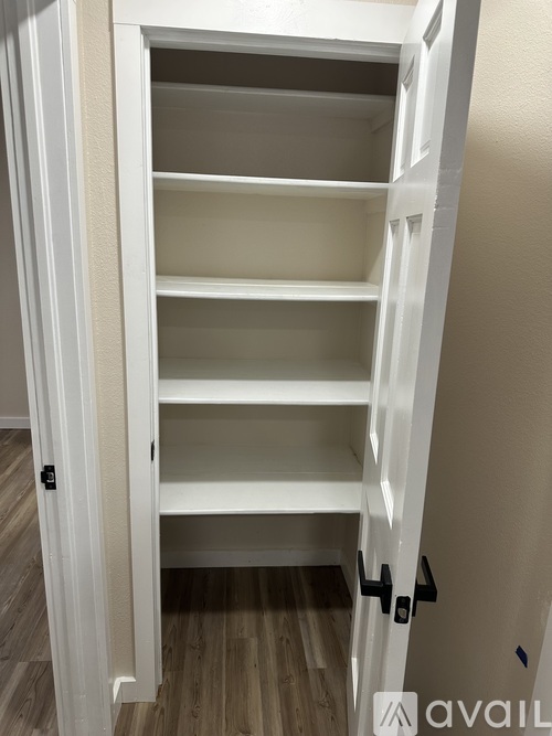 A white pantry door with three shelves is open.