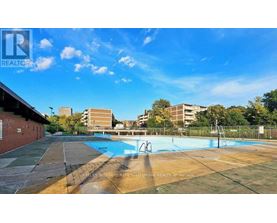A swimming pool in a sunny outdoor setting.