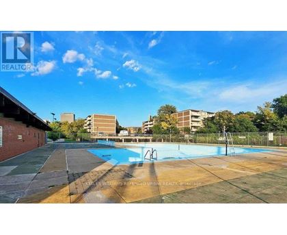 A swimming pool in a sunny outdoor setting.