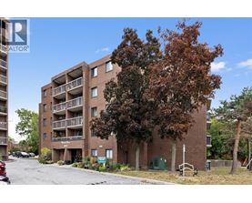 Apartment building with a tree in front of it.