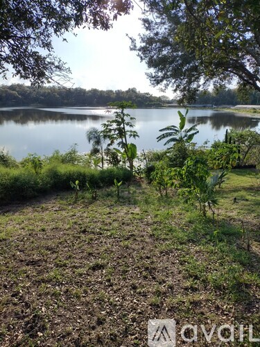 A natural landscape with a body of water and greenery.