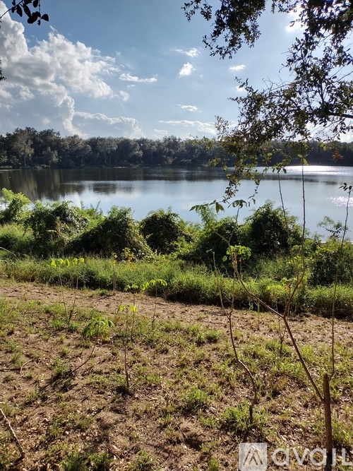 A serene landscape with a lake, trees, and a clear sky.