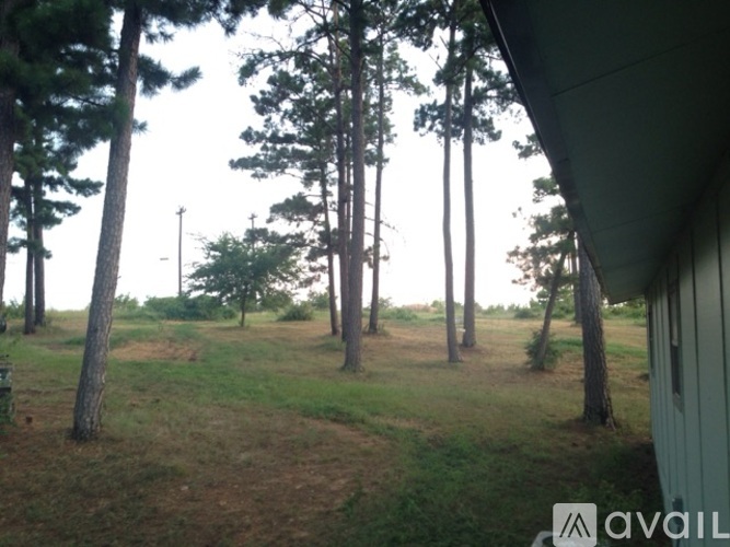 A grassy area with trees and a building in the background.