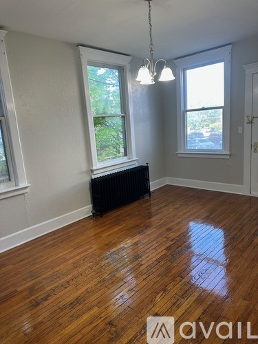157 W 3rd Street 1 Apartment for Rent - Photo gallery 5