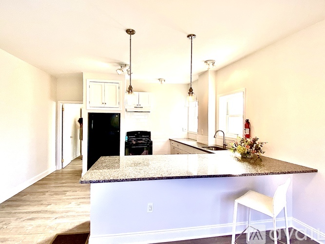 19 Morris Ave 1 Apartment for Rent - Photo gallery 2
