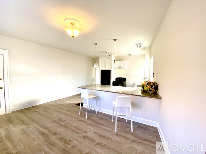 19 Morris Ave 1 Apartment for Rent - Photo gallery 4