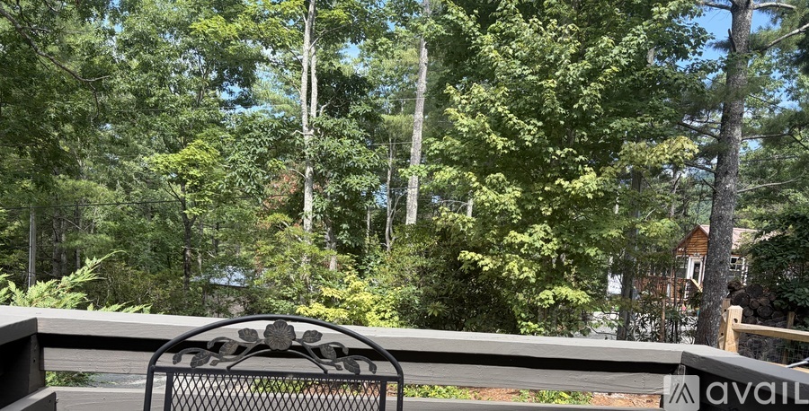 384 Bear Cub Drive 1 Single Family Home for Rent - Photo gallery 1