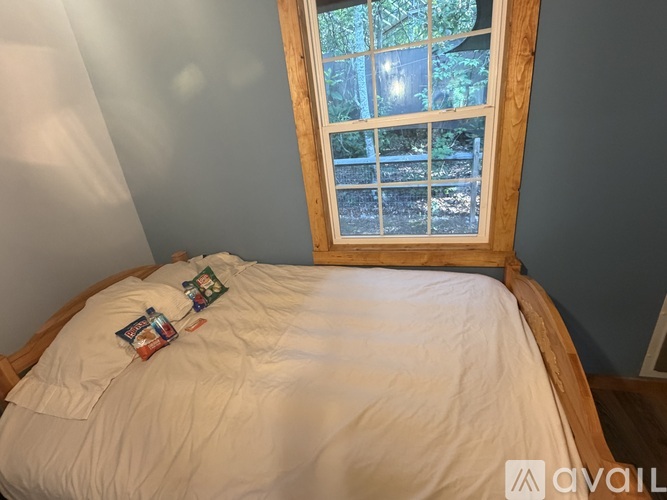 384 Bear Cub Drive 1 Single Family Home for Rent - Photo gallery 5