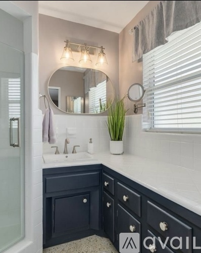 A bathroom with a sink, mirror, and a plant.