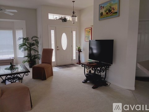 A living room with a television, a chair, a table, and a plant.