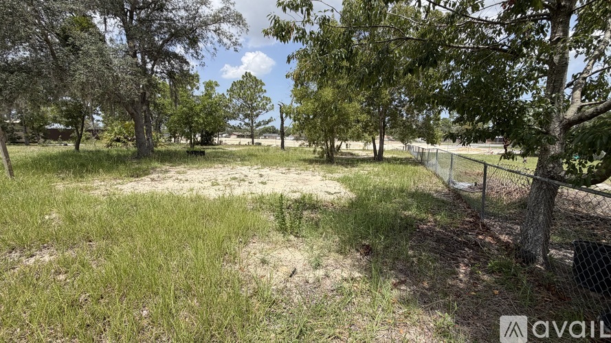 A grassy field with trees and a fence in the background.
