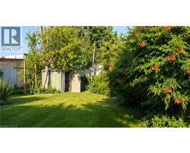 A green lawn with a shed and trees in the background.