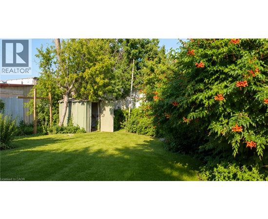 A green lawn with a shed and trees in the background.