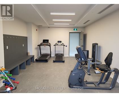 A gym room with treadmills, exercise bikes, and a bench.