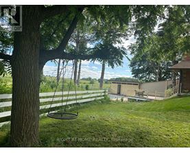 A tree with a swing hanging from it and a house in the background.
