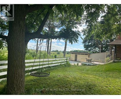 A tree with a swing hanging from it and a house in the background.