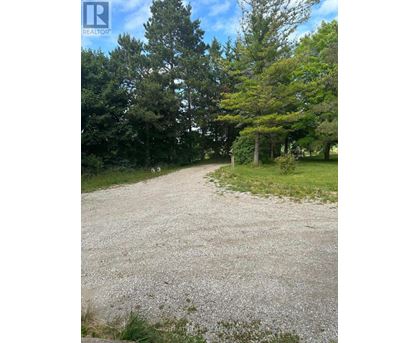 A gravel road leads through a wooded area.
