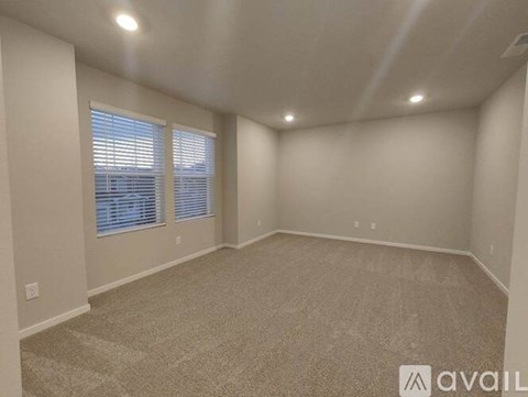 A spacious room with carpeted floor and two windows with blinds.