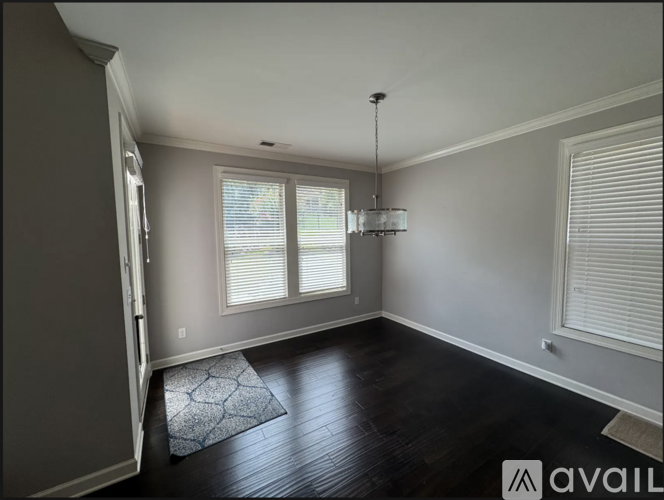 1142 Arges River Drive 4 Beds Single Family Home for Rent - Photo gallery 4