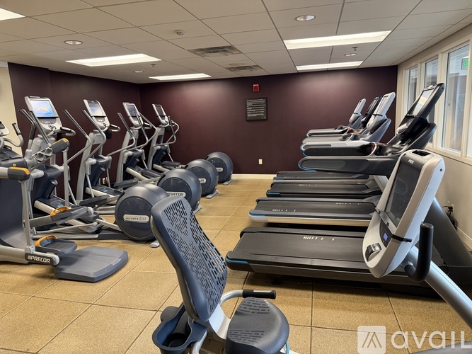 A gym with treadmills and elliptical machines.