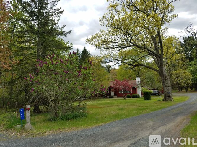 A rural road with a house and trees in the background.