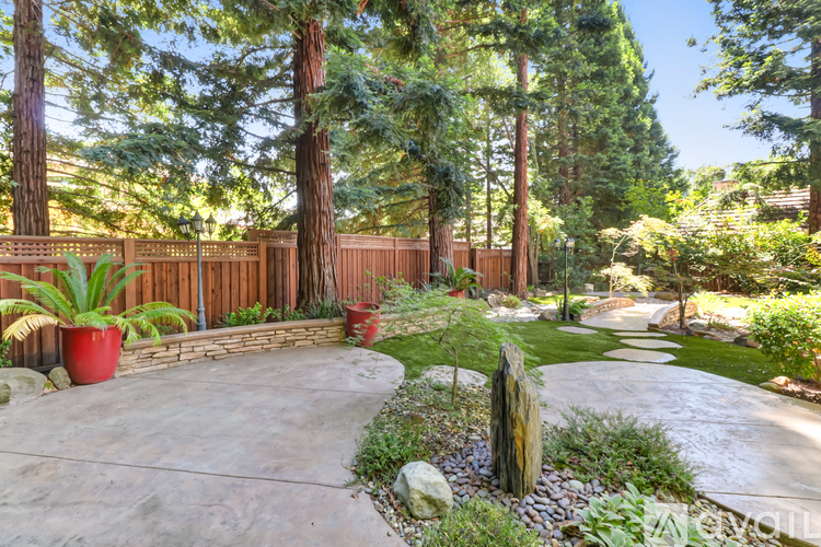 A backyard with a concrete patio, a wooden fence, and a variety of plants and trees.