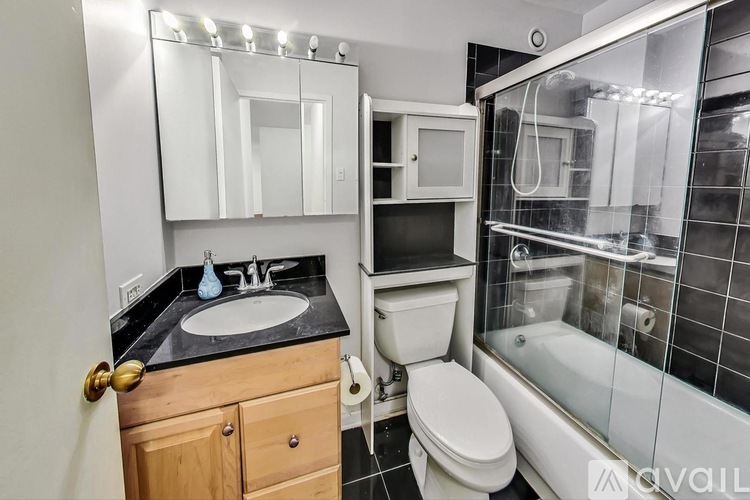 211 East Ohio Street 1 Apartment for Rent - Photo gallery 2