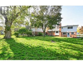 A grassy area with a tree and houses in the background.
