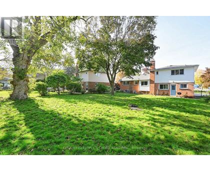 A grassy area with a tree and houses in the background.