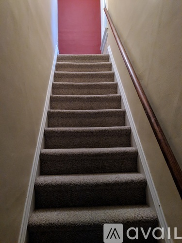 A staircase with a carpeted runner and wooden handrail.