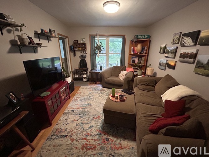 A living room with a couch, a television, and a rug.