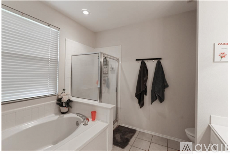 606 Meadow View Drive 3 Beds Single Family Home for Rent - Photo gallery 5