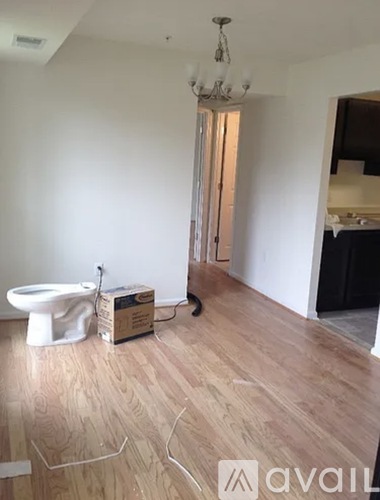 A room with a toilet and a chandelier.
