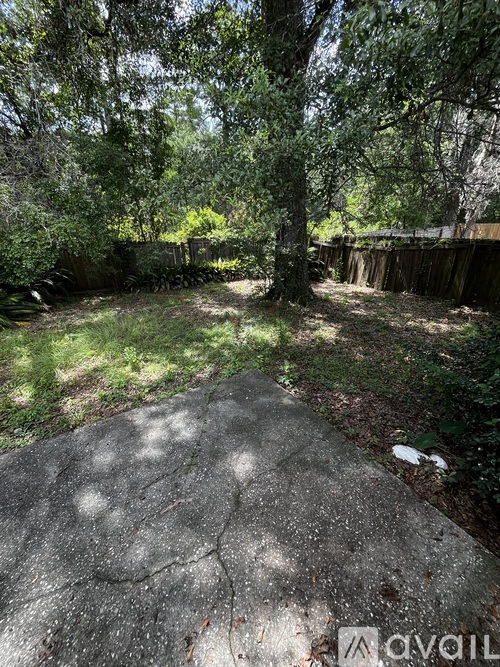 A backyard with a concrete slab and trees.