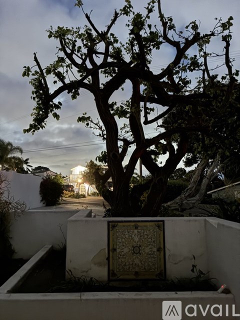 A tree with a box in front of it.