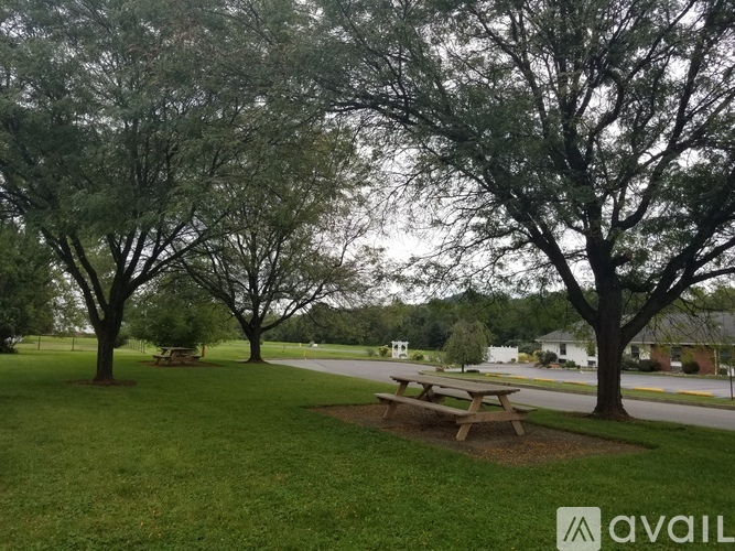 A picnic table is surrounded by trees in a grassy area.