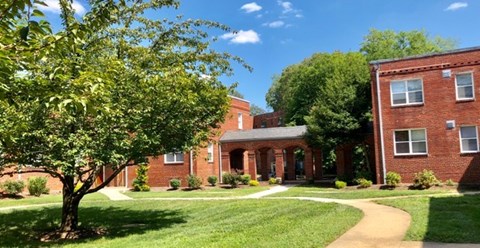 A tree is in front of a building with a brick facade.