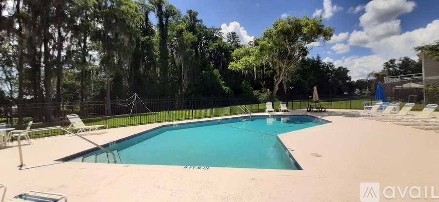 A large outdoor swimming pool surrounded by trees and lounge chairs.