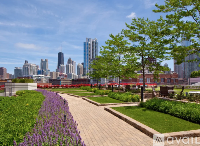 A park with a walkway and purple flowers in the foreground with a city skyline in the background.