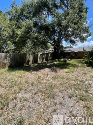 A backyard with a fence and trees.